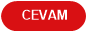  CEVAM 